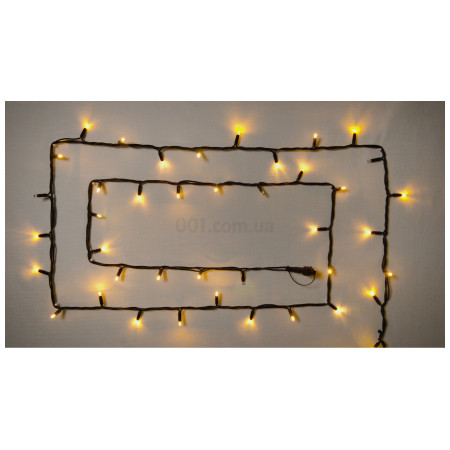 Гірлянда світлодіодна зовнішня STRING 100 LED 10м (2×5м) 20 flash жовтий/чорний IP44 EN, Delux